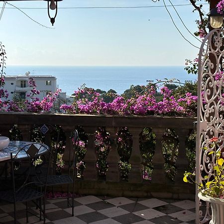Luxury House In Villa Pompeiana Via Camerelle Con Terrazza Vista Mare Κάπρι Εξωτερικό φωτογραφία
